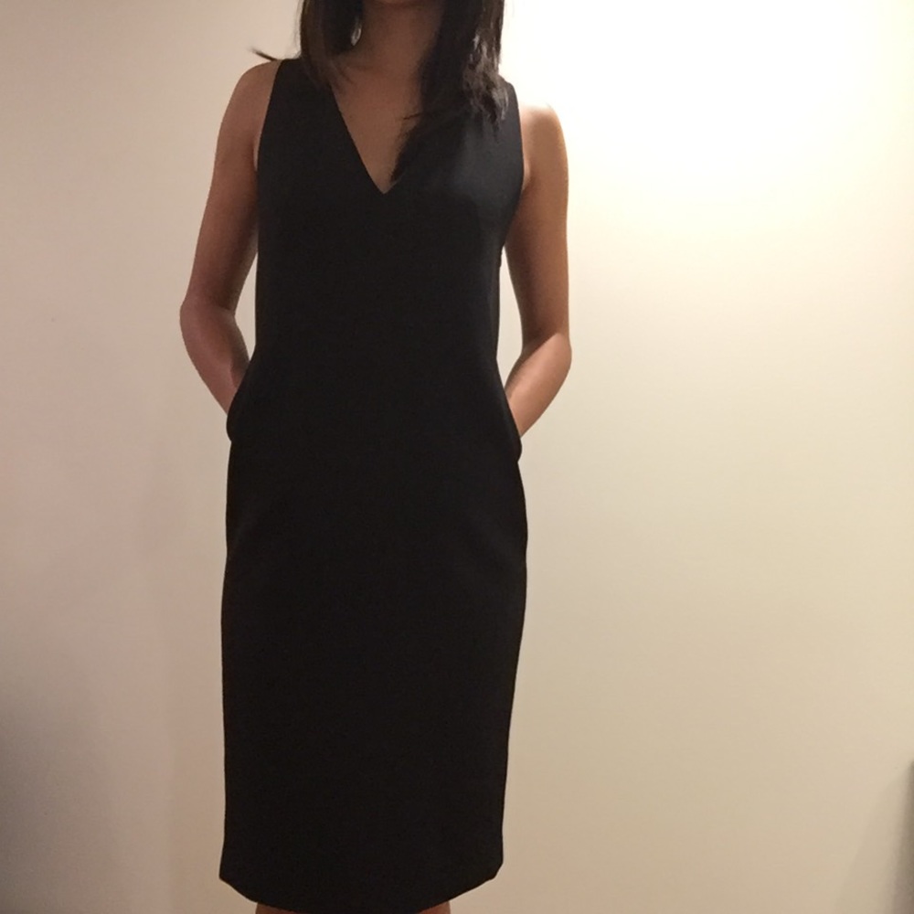 Aritzia Babaton black dress with pockets